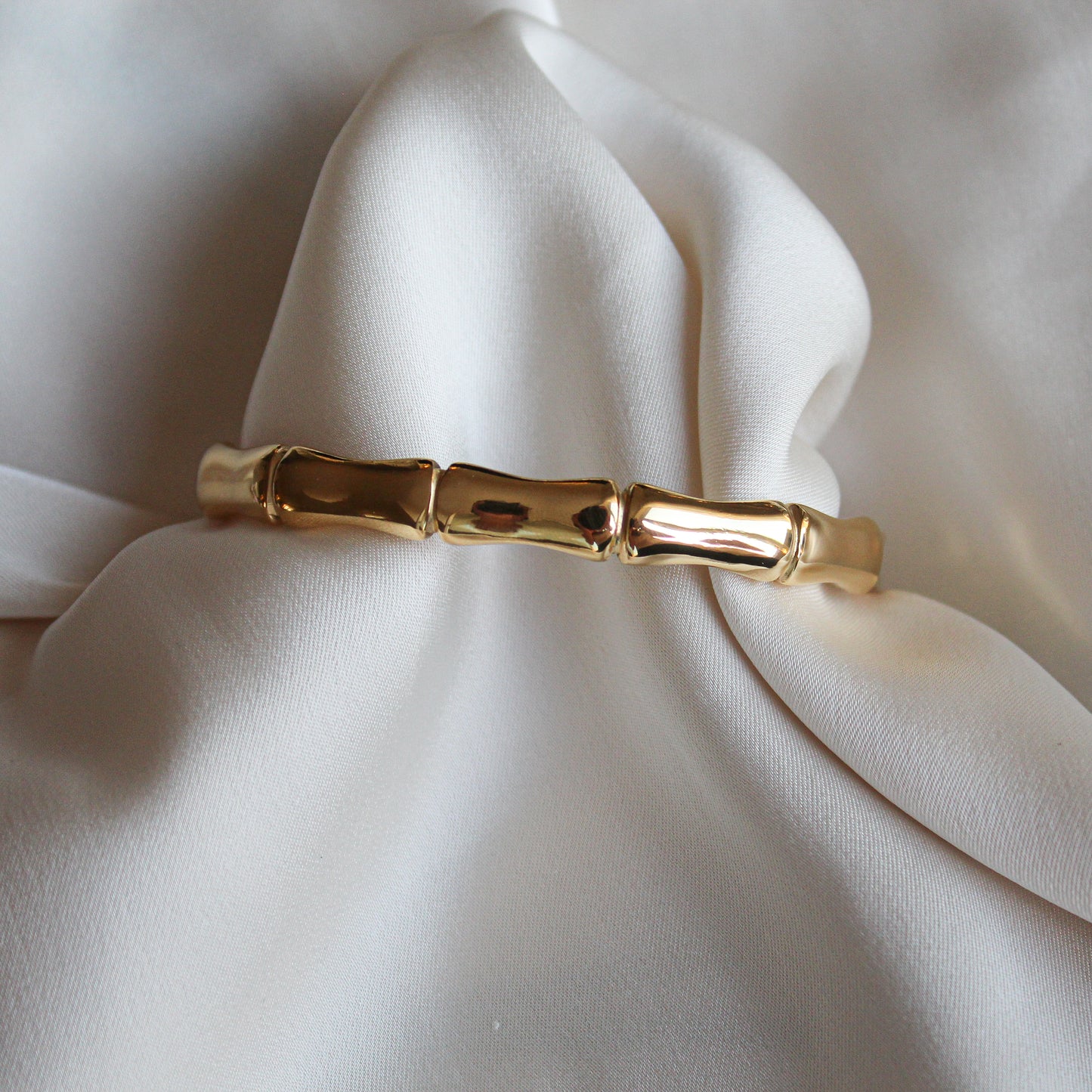 Elayne Bangle