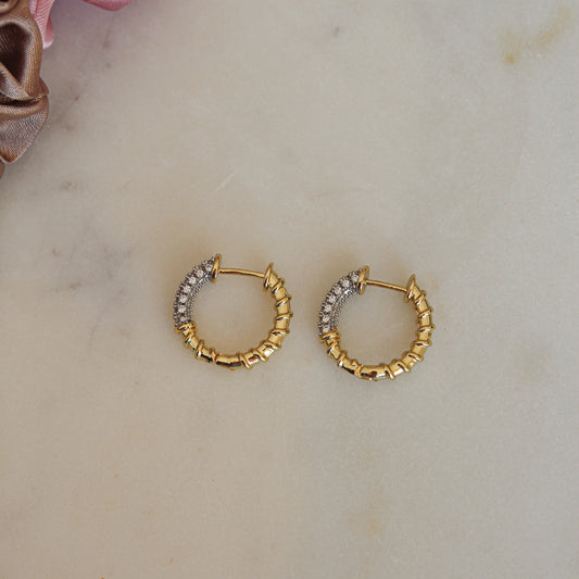 Pauahi Sparkle Hoops